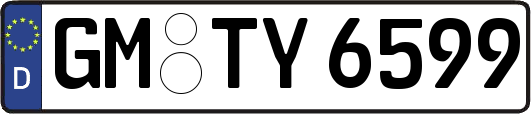 GM-TY6599