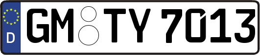 GM-TY7013