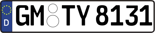 GM-TY8131