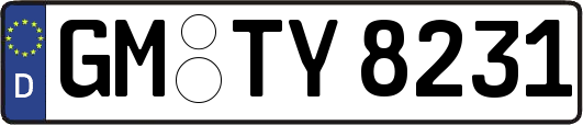 GM-TY8231