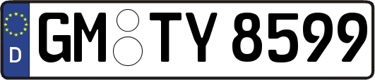 GM-TY8599