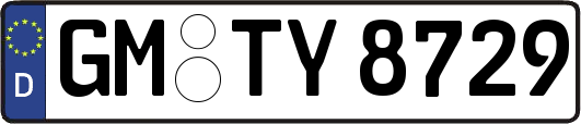 GM-TY8729