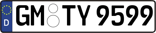 GM-TY9599