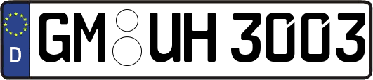 GM-UH3003