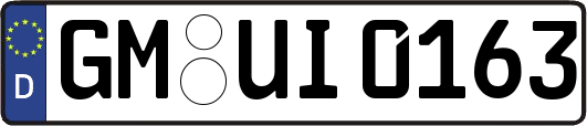 GM-UI0163