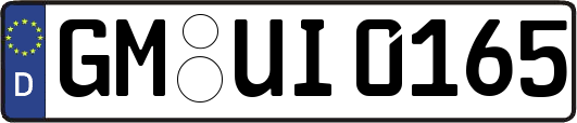 GM-UI0165