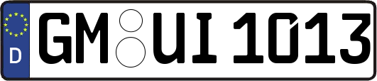 GM-UI1013