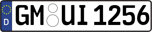 GM-UI1256