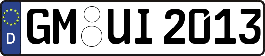 GM-UI2013
