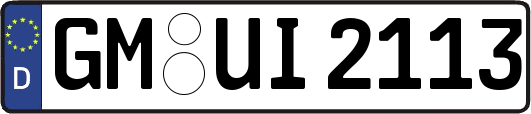 GM-UI2113