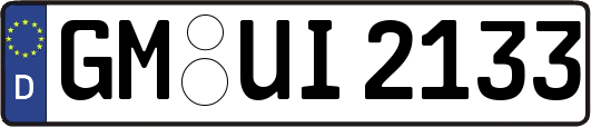 GM-UI2133