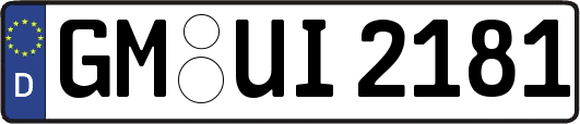 GM-UI2181