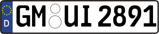GM-UI2891