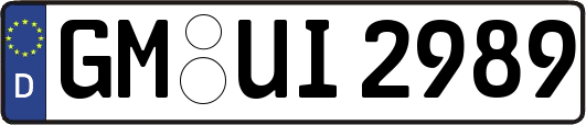 GM-UI2989
