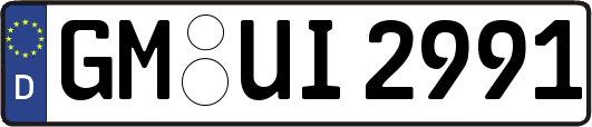 GM-UI2991
