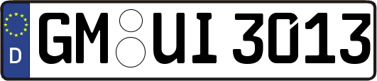 GM-UI3013