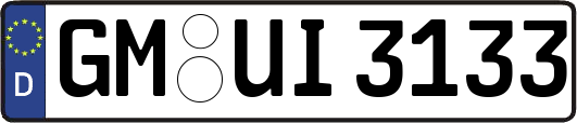 GM-UI3133