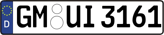 GM-UI3161