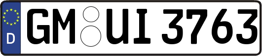 GM-UI3763