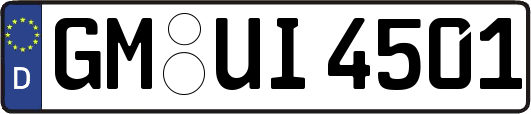 GM-UI4501