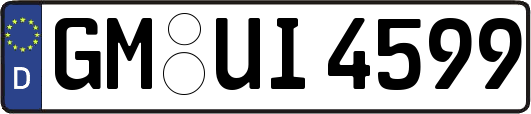 GM-UI4599