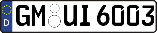 GM-UI6003