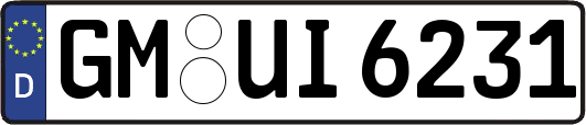 GM-UI6231