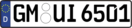 GM-UI6501
