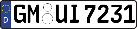 GM-UI7231