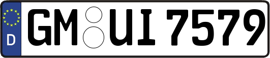 GM-UI7579