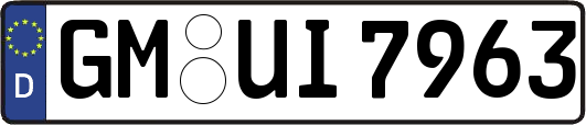 GM-UI7963