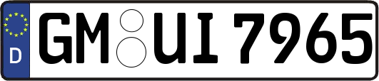 GM-UI7965