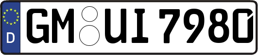 GM-UI7980