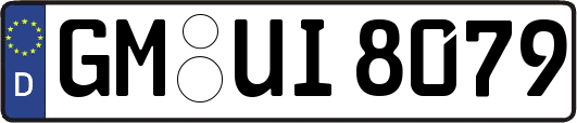 GM-UI8079