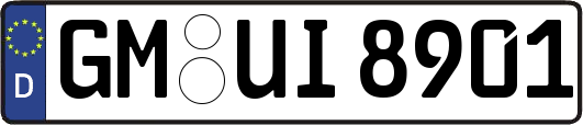 GM-UI8901