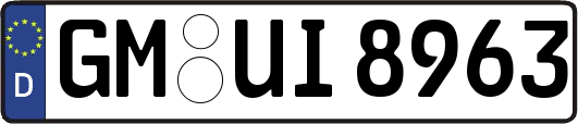 GM-UI8963