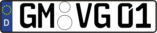 GM-VG01
