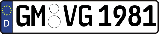 GM-VG1981