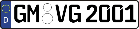 GM-VG2001