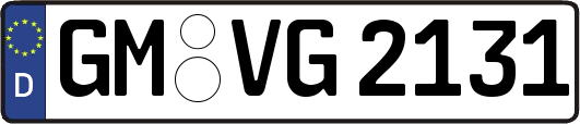 GM-VG2131