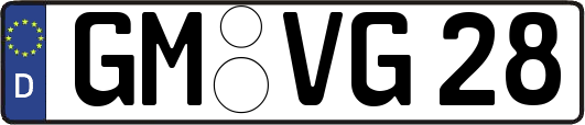 GM-VG28