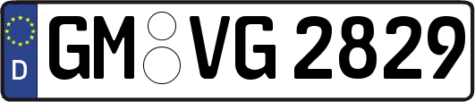 GM-VG2829