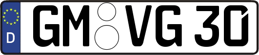 GM-VG30