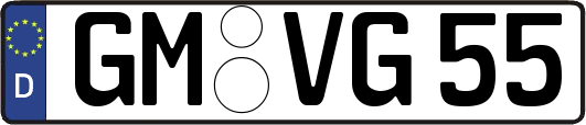 GM-VG55