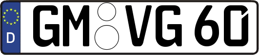 GM-VG60