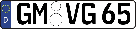 GM-VG65