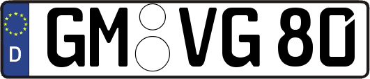 GM-VG80