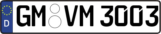 GM-VM3003