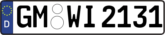 GM-WI2131