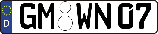 GM-WN07